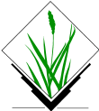Soubor:Grass-logo.png